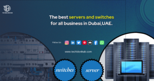 a server, switch, and network