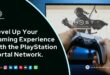 PlayStation network